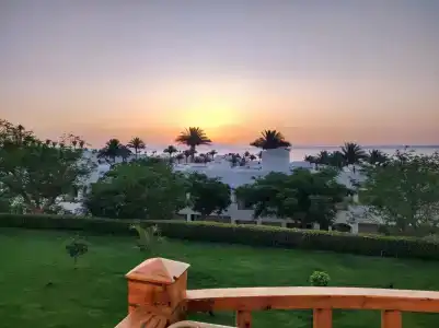 Pickalbatros Royal Grand Sharm - Adults Friendly 16 Years Plus - 47