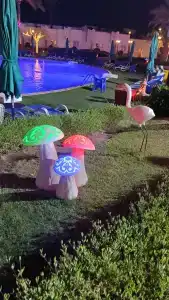 Gafy Resort Aqua Park - 8