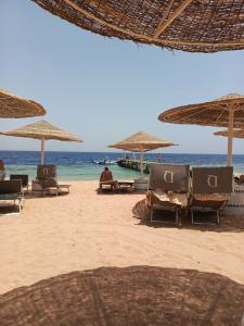 Domina Coral Bay Resort, Diving , Spa & Casino - 96