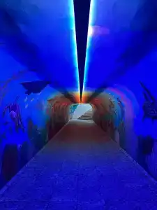 Blue Wave Suite - 12