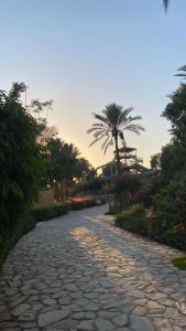 Sindbad Club - 38