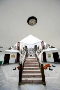 Assos Barbarossa - Special Category - 7