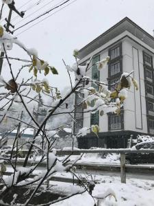 Golden Inn Uzungöl - 16