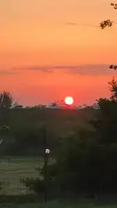 Euro House Inn Airport - 12