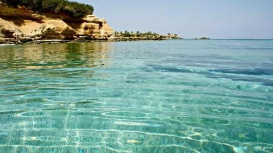 Albatros Spa & Resort - 6