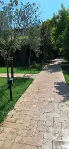 Caretta Caretta Pension - 22