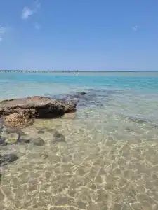 Panorama Bungalows Resort El Gouna - 36