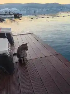 La Quinta by Wyndham Bodrum - 48