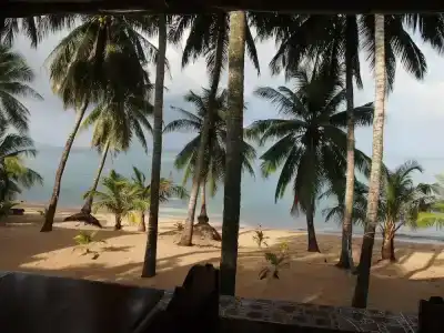 Palm Point Village - 70