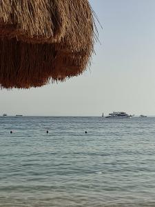 Sun & Sea and Aqua Park - Hurghada - 58