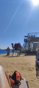 King Tut Aqua Park Beach Resort - 47