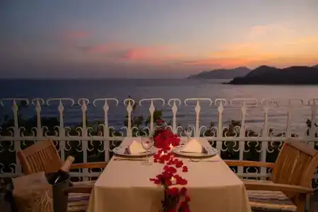 Beyaz Yunus - Adult Only - 28