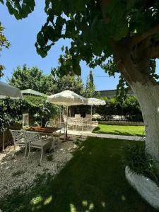 Alican Izba House - 35