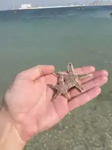 Centara Mirage Beach Resort Dubai - 53