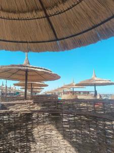 Ali Baba Palace -Families and Couples Only- - 35