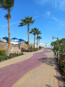 Sunrise Remal Beach Resort - 28