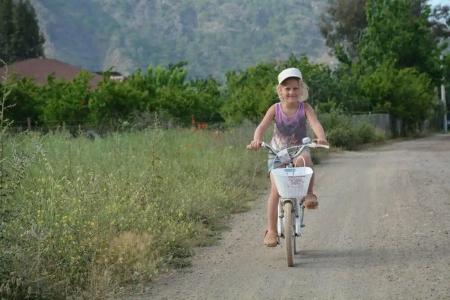 Caretta Caretta Pension - 59