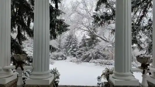 Albemarle Inn - Asheville - 3