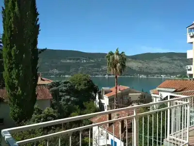 Guest House Tomanovic - 13