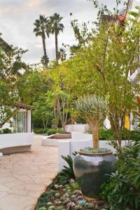 Sunset Marquis - 49
