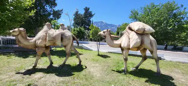 Crystal De Luxe Resort & Spa - All Inclusive - 76