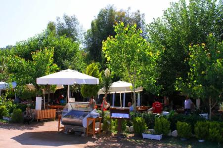 Alican Izba House - 23