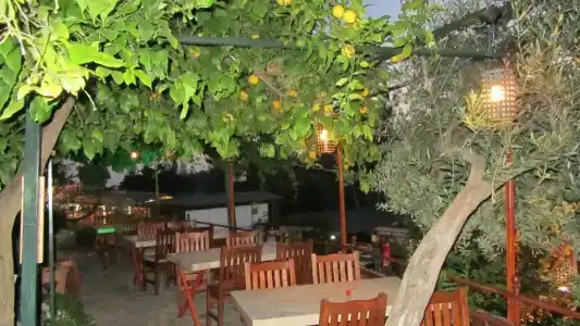 St. Nicholas Pension - 50