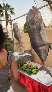 Labranda Club Makadi - 65