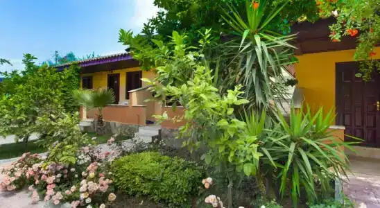 Ozlem Garden - All Inclusive - 78