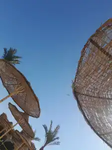 Parrotel Lagoon Waterpark Resort - 69