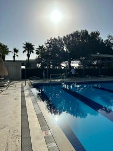 Crystal Prestige Elite - 88