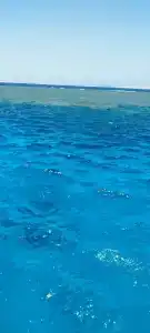 Empire Beach Resort - 34