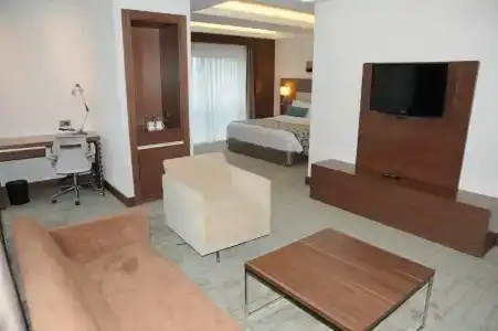 Mercure Istanbul Altunizade - 39