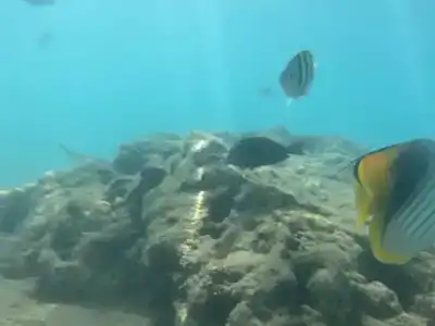 Pickalbatros Aqua Blu Resort - Hurghada - 34