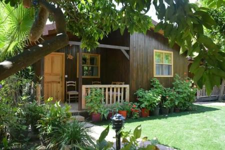 Caretta Caretta Pension - 68