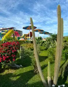 Hawaii Caesar Palace Aqua Park - Families and Couples Only - 58