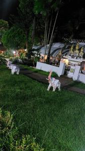 Arawan Krabi Beach Resort - 47