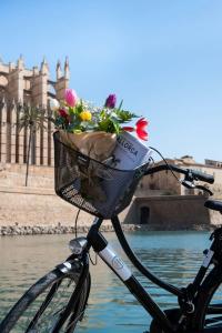 Ars Magna Bleisure - 12