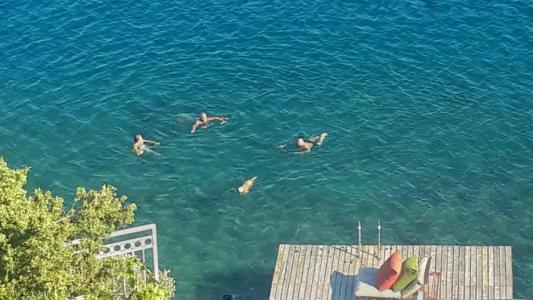 Ece Sovalye Island - 49