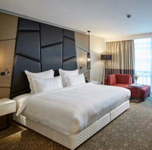 Pullman Istanbul & Convention Center - 2