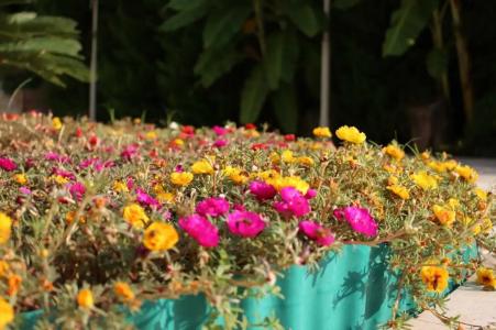 Petunya Konak Boutique - 18