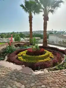 Solymar Naama Bay - 79