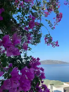 Bodrum Holiday Resort & Spa - 25