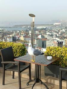 Radisson President Old Town Istanbul - 81
