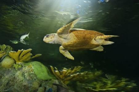 Residence Inn by Marriott Boston Downtown Seaport - 10