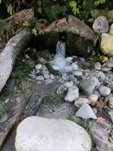 Lykia Botanika Beach Fun & Club - All Inclusive - 79