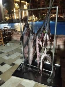 Sunny Days El Palacio Resort & Spa - 47