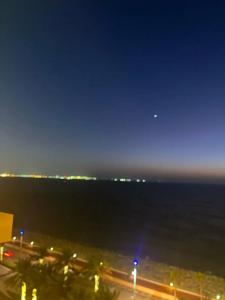 Raffles The Palm - 68