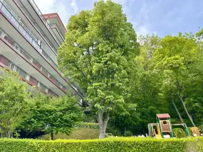 BSA Gradina - All Inclusive & Private Beach - 27