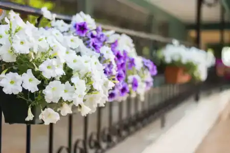 Asdem Park Otel - 89